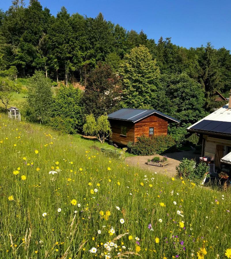Gite Le Mazot De Vouan Saint-Andre-de-Boege Kültér fotó
